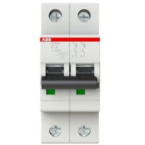 INTERRUTTORE MAGNETOTERMICO 2P C2 10KA 2 MODULO CURVA C 2A - ABB S202M/C2