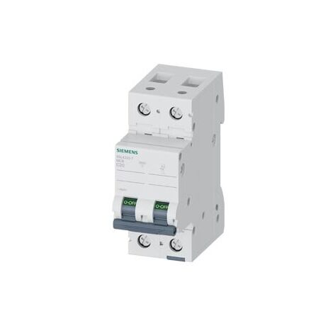 Interruttore Magnetotermico 400V 10 Ka, A 2 Poli, C, 20A  ICN 10000A