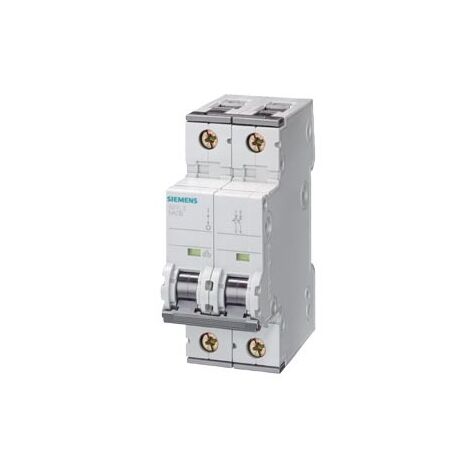 Interruttore Magnetotermico 400V 6kA, a 2 poli, C, 10A, P=70mm
