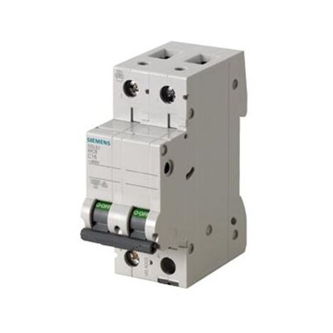 Interruttore Magnetotermico 400V 6Ka, A 2 Poli C, 13A Esecuzione Italia, 2PC13