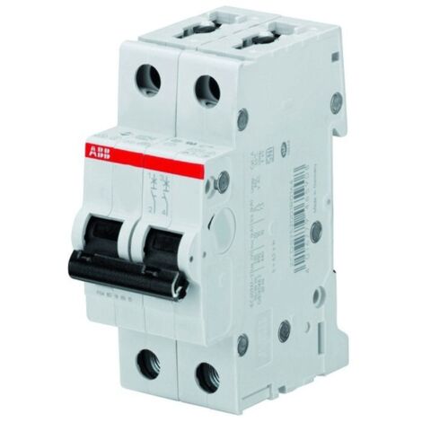 Interruttore magnetotermico ABB 2 moduli 25A 1 + N S598415
