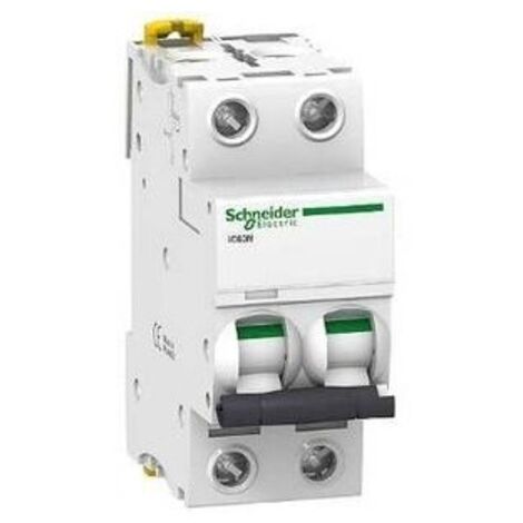 Interruttore magnetotermico iC60N 2P D 1A 6000A - A9F75201