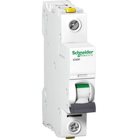 Interruttore Schneider Electric a9f07125 25 A IP20