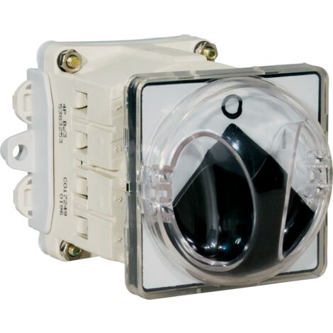 Interruttore Sezionatore Da Fondoquadro Con Bloccoporta E Mostrina Grigia Ip65, 63A 4P