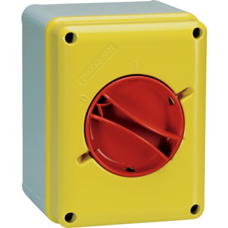 Interruttore Sezionatore da parete in tecnopolimero da 25A, Giallo-Rosso
