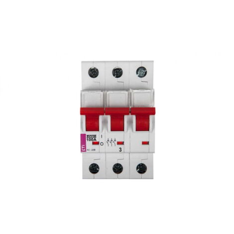 Interruttore sezionatore modulare 100A 3P 400V SV 3100 002423316