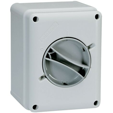 Interruttore sezionatore Palazzoli da parete 2X16A IP65 209162