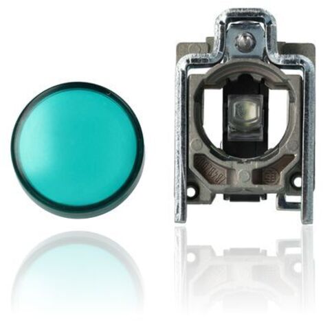 Interruttore Telemecanique a Pulsante Illuminato Verde LED 24V XB4BVB3