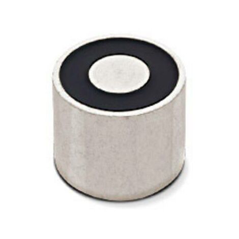 Intertec Electroaimant aimanté (état hors tension) 120 N 12 V/DC 7 W ITS-PE-2529-12VDC