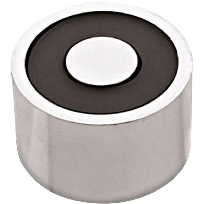 Red magnetics Electroaimant aimanté (état hors tension) 300 n 12 v/dc 28 w ITS-PE3529-12VDC S78982