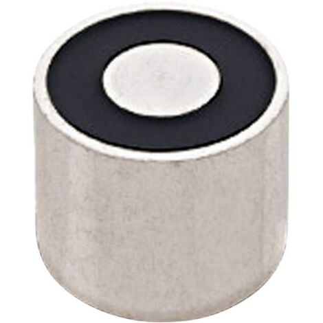 Intertec Electroaimant aimanté (état hors tension) 45 N 12 V/DC 6 W ITS-PE2025-12VDC