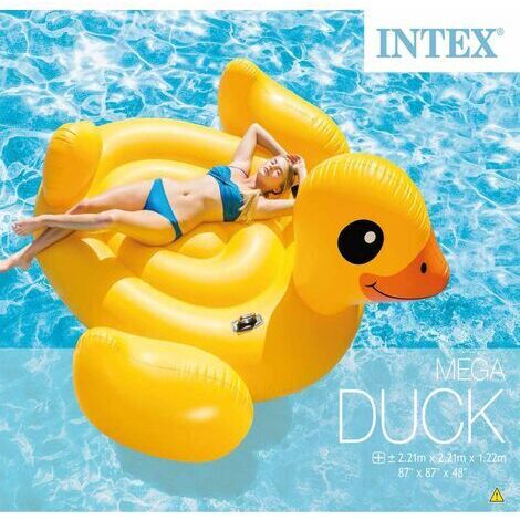 intex duck