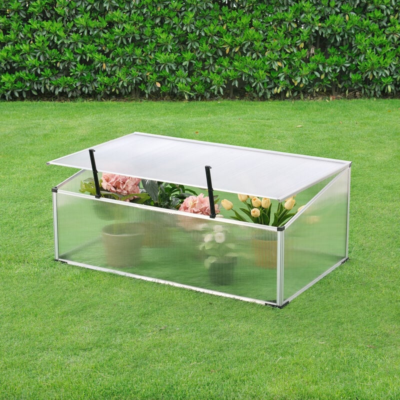 

Invernadero de Jardín Exterior - 100 x 60 cm - Caja de Flores para Terraza - Vivero - Casero para Plantas Cultivos - Aluminio / Policarbonato - Placa