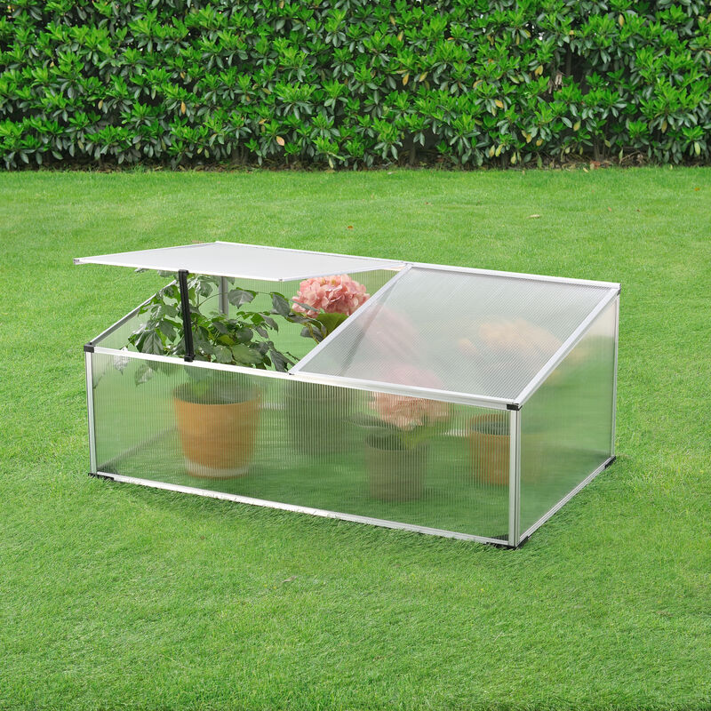 

Invernadero de Jardín Exterior - 100 x 60 cm - Caja de Flores - Vivero - Casero para Plantas Cultivos - Techo de 2 partes - Aluminio / Policarbonato