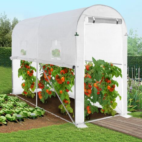Invernadero de Jardín Grande 1.8x3m Policarbonato Transparente Marco de  Aluminio sin Base Plantas Cultivos Hortalizas