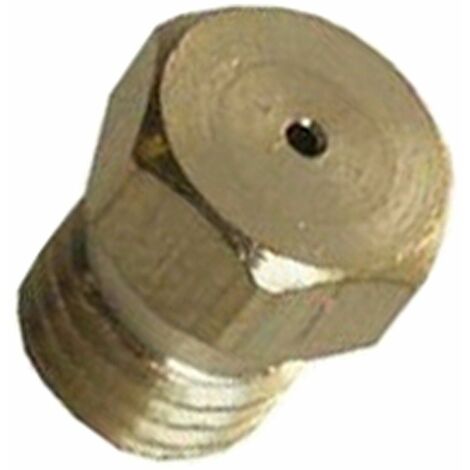 Inyector 80 (butano propano) C00056359 SCHOLTES