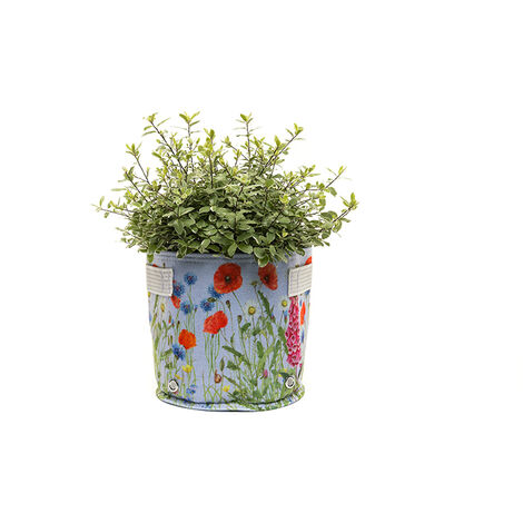Iona Buchanan Meadow Fabric Eco 23L Pots - L45 x W45 x H27 cm - Lilac