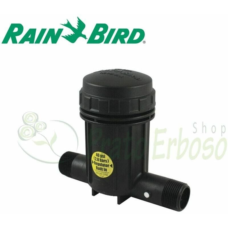 Rain Bird - IPRB100 - cylindre de Filtre pour micro-irrigation par 1 avec régulateur de pression