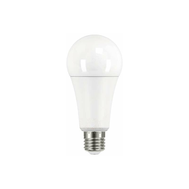 Ampoule LED E27 17,5W A67 équivalent à 126W - Blanc du Jour 6500K