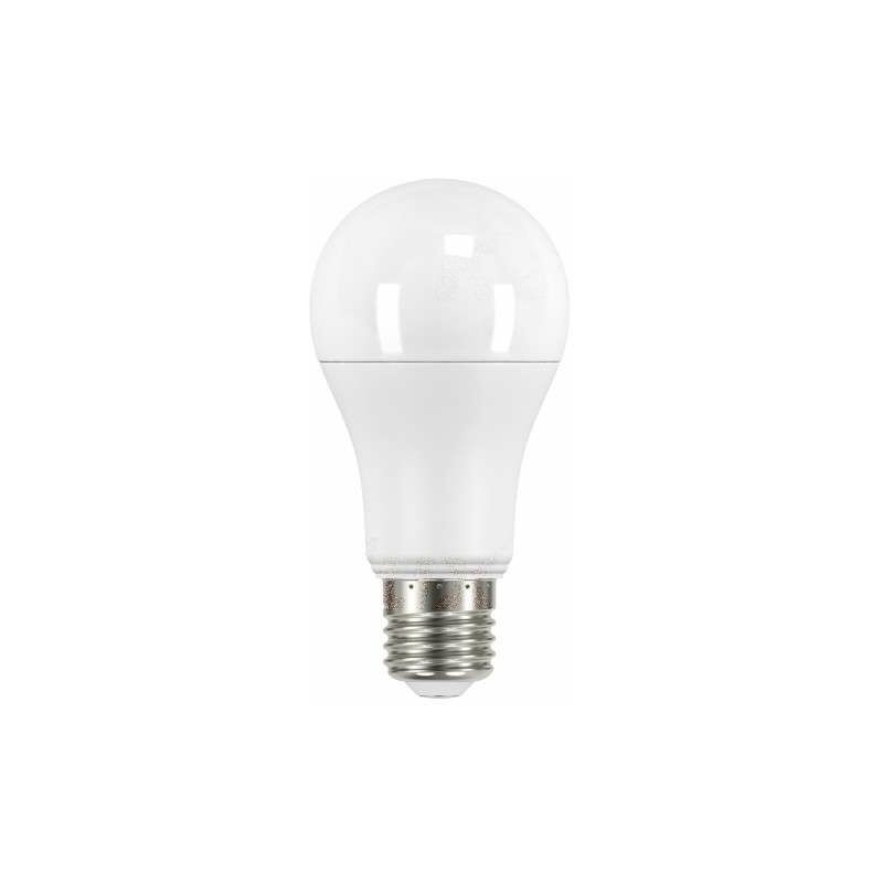 Ampoule LED E27 12,5W A60 équivalent à 77W - Blanc du Jour 6500K
