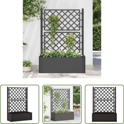 Irrigazione automatica -  Letto Rialzato da Giardino Graticcio e Irrigazione Antracite