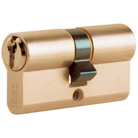 ISEO F5 8209 CILINDRO SAG. OTTONE 100 MM 45.10.45 (50-50)- ISEO SERRATURE- 1,0 pz