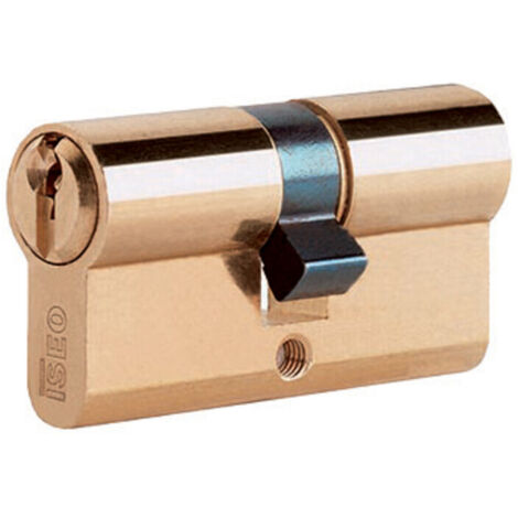 ISEO F5 8209 CILINDRO SAG. OTTONE 80 MM 30.10.40 (35-45)- ISEO SERRATURE- 1,0 pz