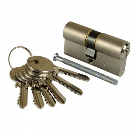 ISEO Profilzylinder 30/35 N+G inkl. 6 Schlüssel