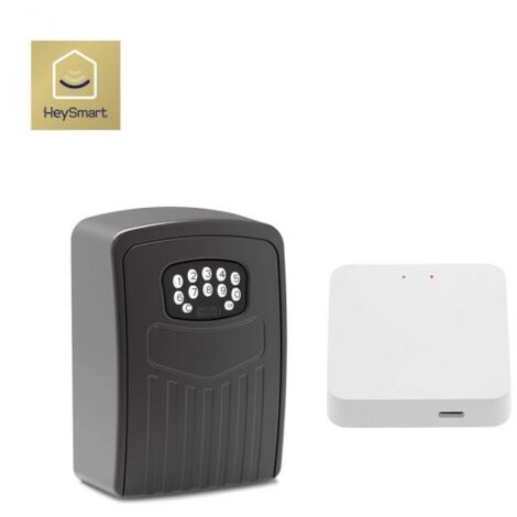 ISNATCH Cassetta di sicurezza Smart + batterie + Gateway WI-FI controllo remoto B&B - 68.6810.20