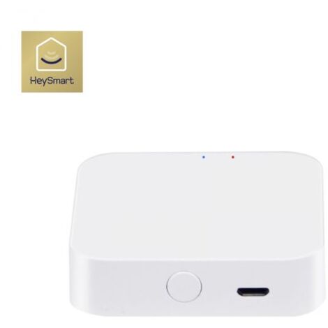 ISNATCH gateway zigbee per gestione da remoto - SMART GATEWAY 68.6811.00