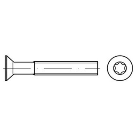 ISO 14581 Senkschrauben mit Innensechsrund A 4 M 8 x 40 -T45 A 4 S 100 Stk