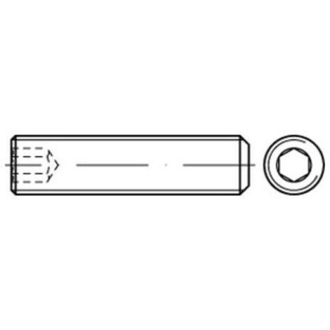 ISO 4026 Gewindestift 45 H M 1,6 x 6 500 Stk