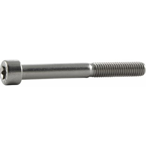 ISO14579  Zylinderschraube M 6x 16 TX30 Edelstahl A2 ISR (DIN912)