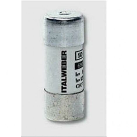 Italweber fusibile cilindrici ch22 gg 40a 690v 1441040