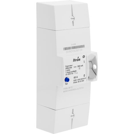 Itron – Disjoncteur d'abonné monophasé sélectif 60A 230V – 2 pôles – Seuil de déclenchement 500mA – Conforme NF C 62 411 - EDF 60 A