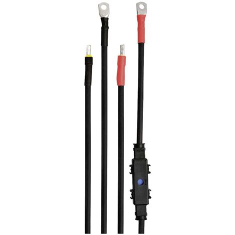 IVT Jeu de câbles DSW-Serie 1.00 m 25 mm² 431002 convient pour le modèle (onduleur):IVT DSW-600/12 V FR, IVT DSW-600/24 V FR, IVT DSW-1200/24 V FR, A918761