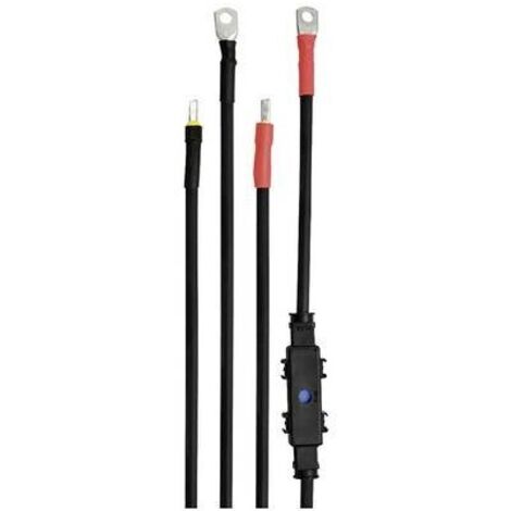 IVT Kit cavi DSW-Serie 1.00 m 35 mm² 431004 Adatto per modello (Inverter):IVT DSW-1200/12 V FR, IVT DSW-1200/24 V FR, I
