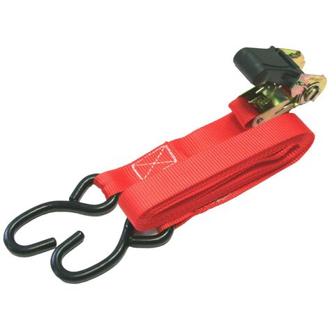 IWH 79423 Cinghia di fissaggio doppia (L x L) 500 cm x 2.5 cm Chiusura a cricchetto