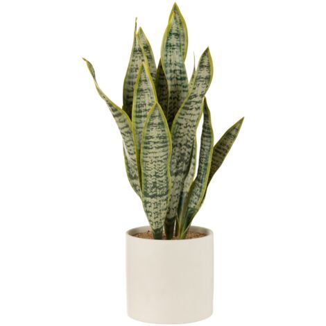J-LINE, PIANTA SANSEVIERIA + VASO, VERDE, EXTRA LARGE, CASA, DECORAZIONI CASA