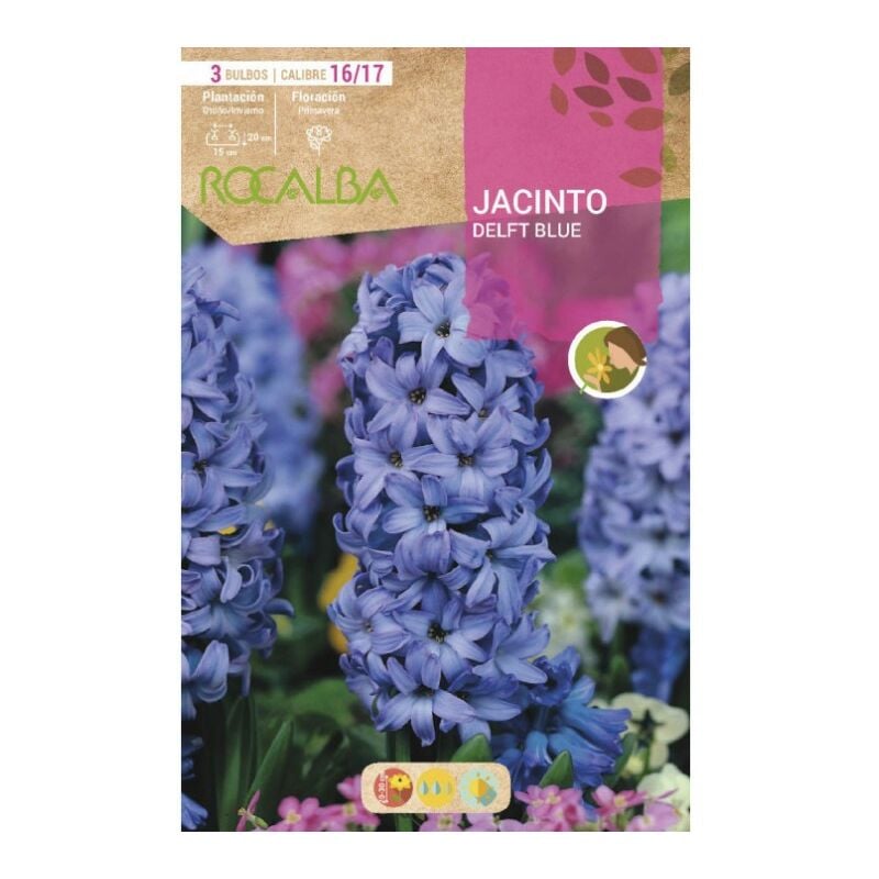 

Bulbo Jacinto Delft Blue Azul - 3 Ud