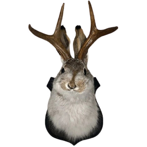 Jackaliope – décoration murale de la dernière légende des bois, en résine, Simulation de tête d&39animal, spécimen pour la maison,Gray,CHINA