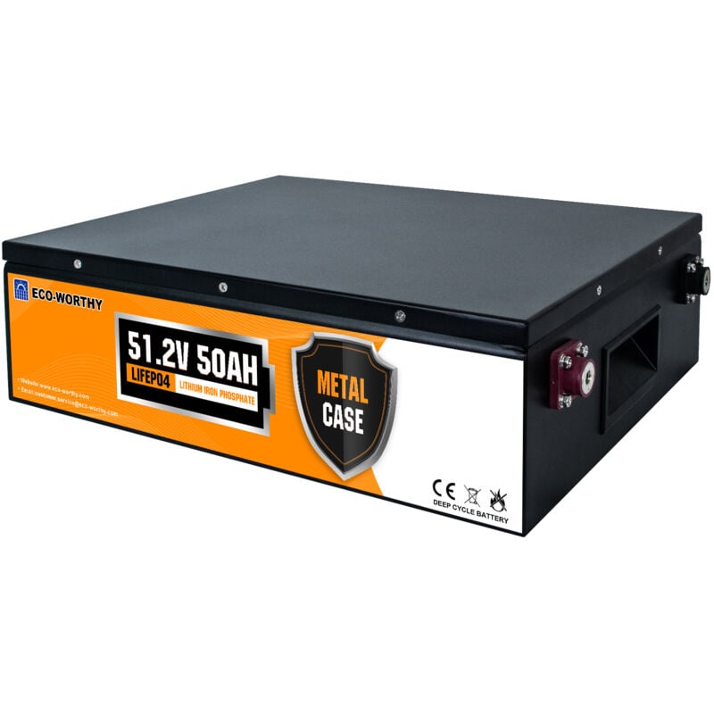 Jamais utilise] Eco-worthy 48V 50Ah Batterie Lithium 48V LiFePO4 Rechargeable au lithium avec 3000+ cycles profonds et protection bms pour système