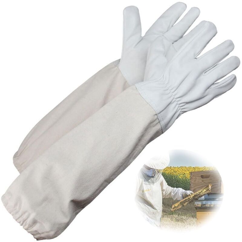 [JAMAIS UTILISÉ] Gants D'apiculture, Gants Protégés pour Apiculteur, Matériel Apicole, Convient à La Plupart des Hommes ou des Femmes, un Outil