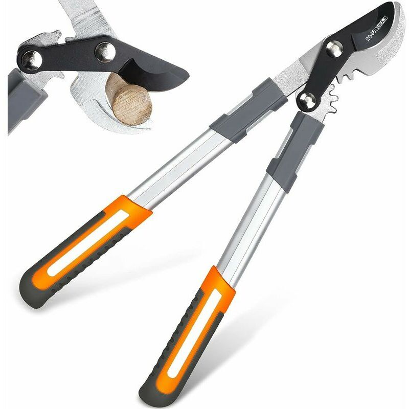 [JAMAIS UTILISE] Sécateurs épais