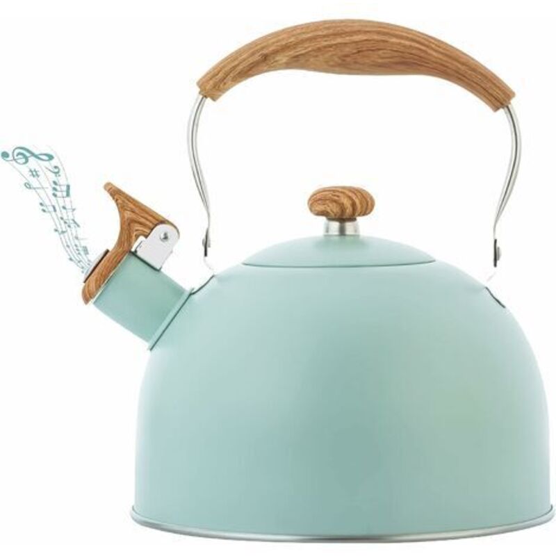 Jamais UTILISÉ]Bouilloire sifflante de 2,5 l avec poignée ergonomique en acier inoxydable bouilloire à induction bouilloire sifflante pour toutes les