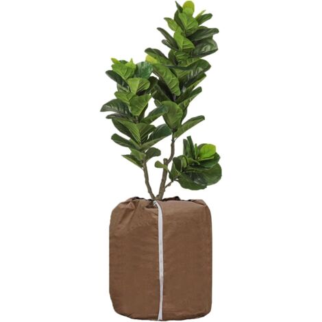 Liant Pour Plantes 30 M – Souple, Vert, Résistant Aux Intempéries Pour Tomates, Rosiers, Concombres…