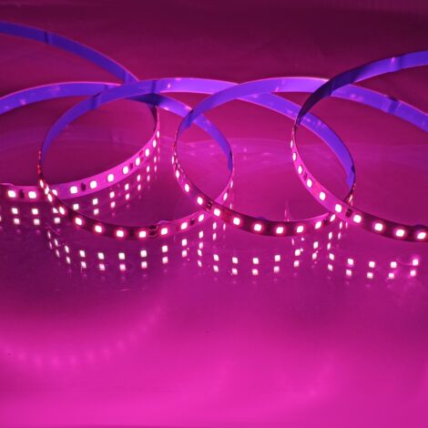 Jandei - Bande LED 24V couleur ROSE 120led/m PCB 8mm 12W/m IP20 5 mètres Bandes LED