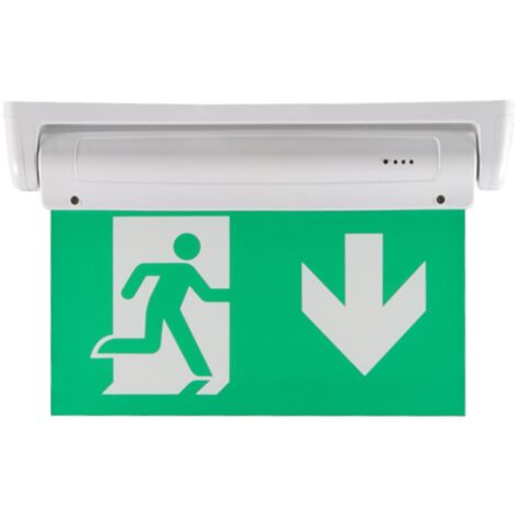 Jandei - Luminaire d'issue de secours double face 3W, pictogramme en dessous, installation au plafond ou au mur Light Battery - Piles