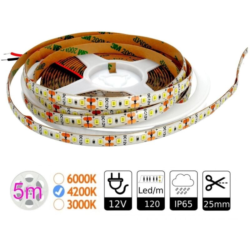 Led pira 12V dc 4200K SMD2835 120 led m outdoor 5M strips led - Jandei