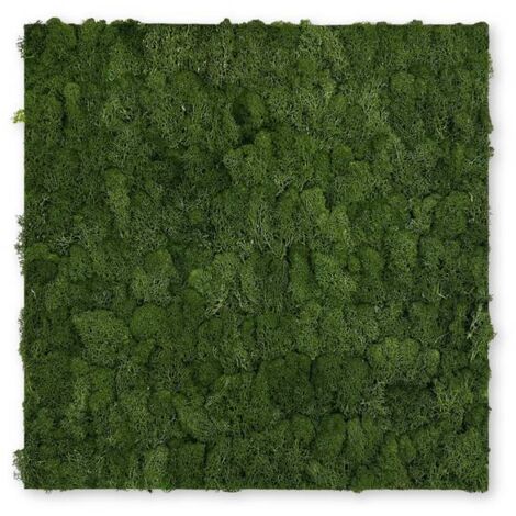 JANGAL Modular Wall Akustik 3D Paneele  520 x 520 mm Dark Green Moos Moos Pflanzenwand Paneele Echtmoos